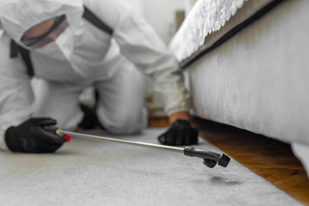 Professional Termite Control technician working in Midland, WA