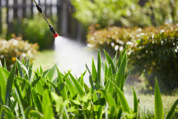 24/7 Emergency Termite Control experts in Midland, WA