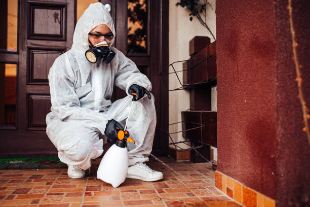 Reliable Termite Control contractor in Midland, WA by Nex Pest Control